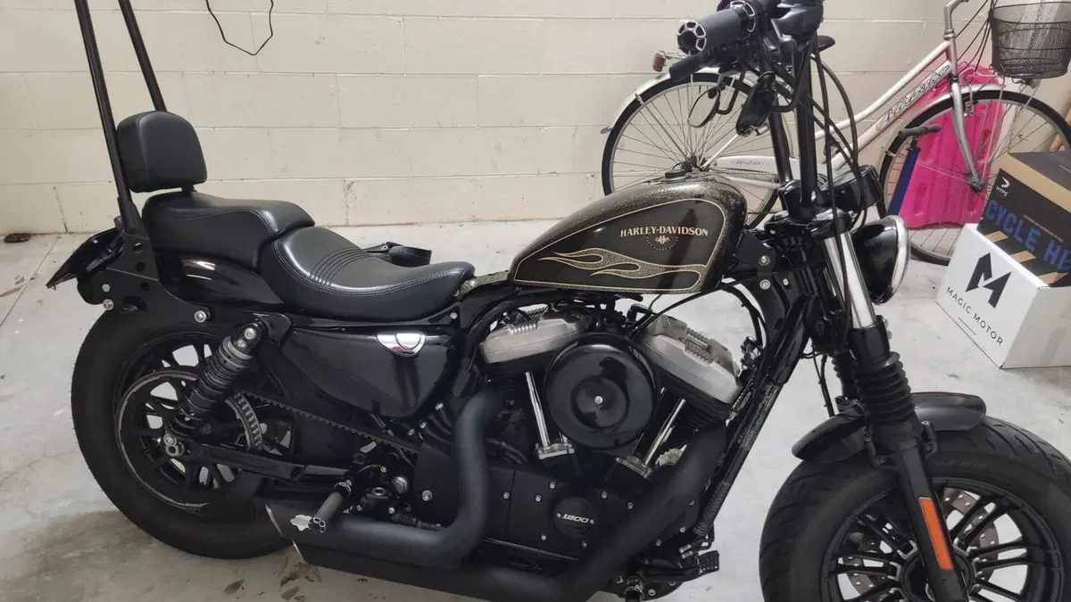 Harley-Davidson 1200 Forty-Eight (2016 - 20)  (7)
