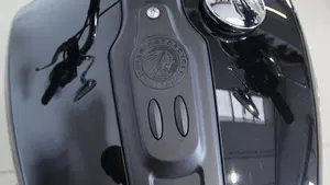 Indian Scout 1250 Classic (2025 - 26)  (12)