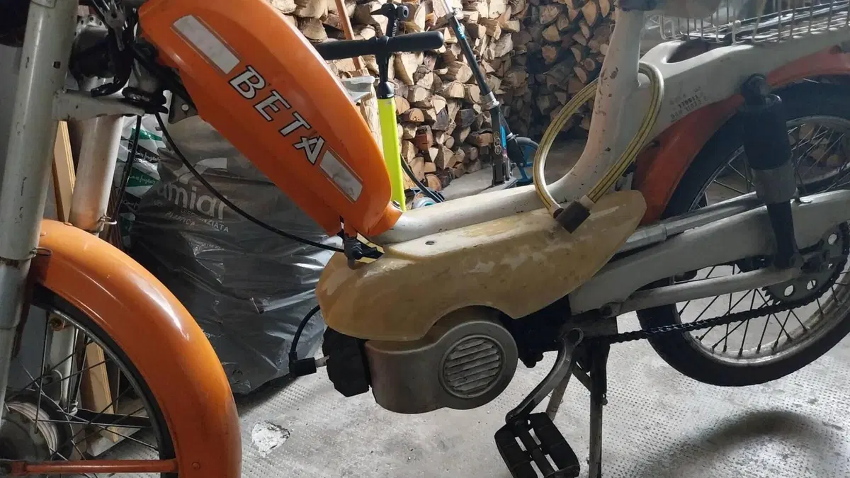 Betamotor  