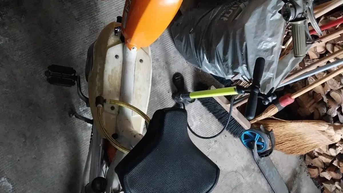 Betamotor   (2)