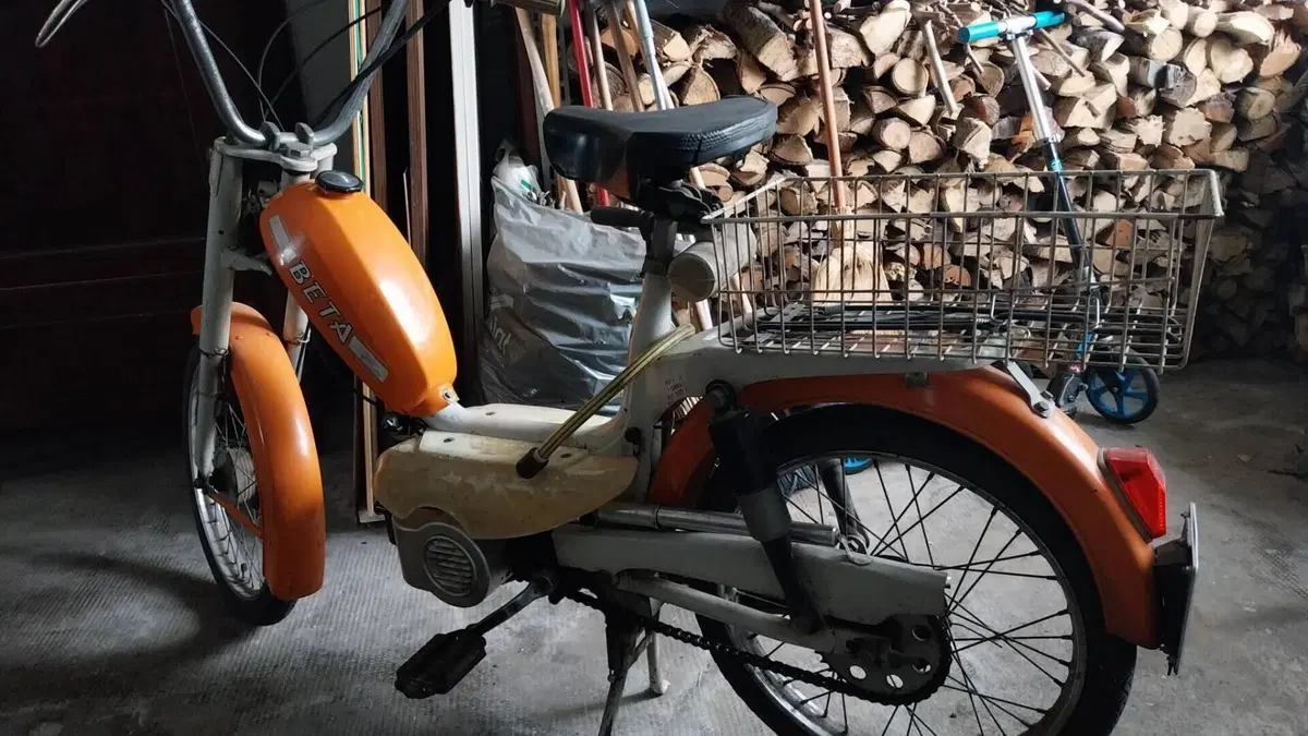 Betamotor   (3)