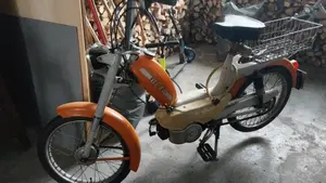 Betamotor   (4)