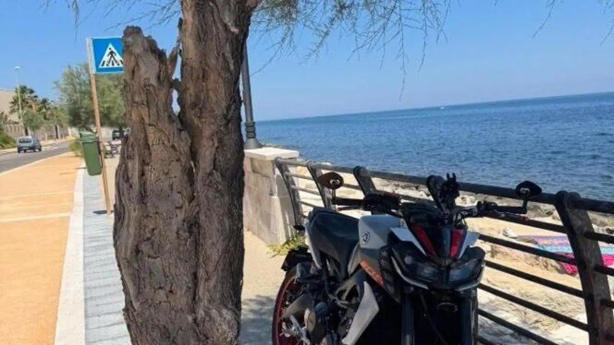 Yamaha MT-09 (2017 - 20)  (4)