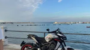 Yamaha MT-09 (2017 - 20)  (5)