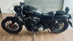 Harley-Davidson 883 Iron (2014 - 16) - XL 883N  (2)