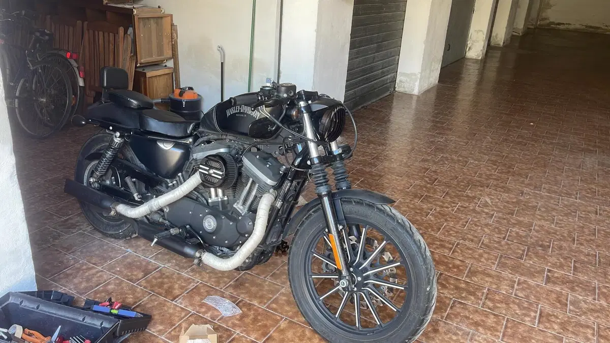 Harley-Davidson 883 Iron (2014 - 16) - XL 883N  (3)