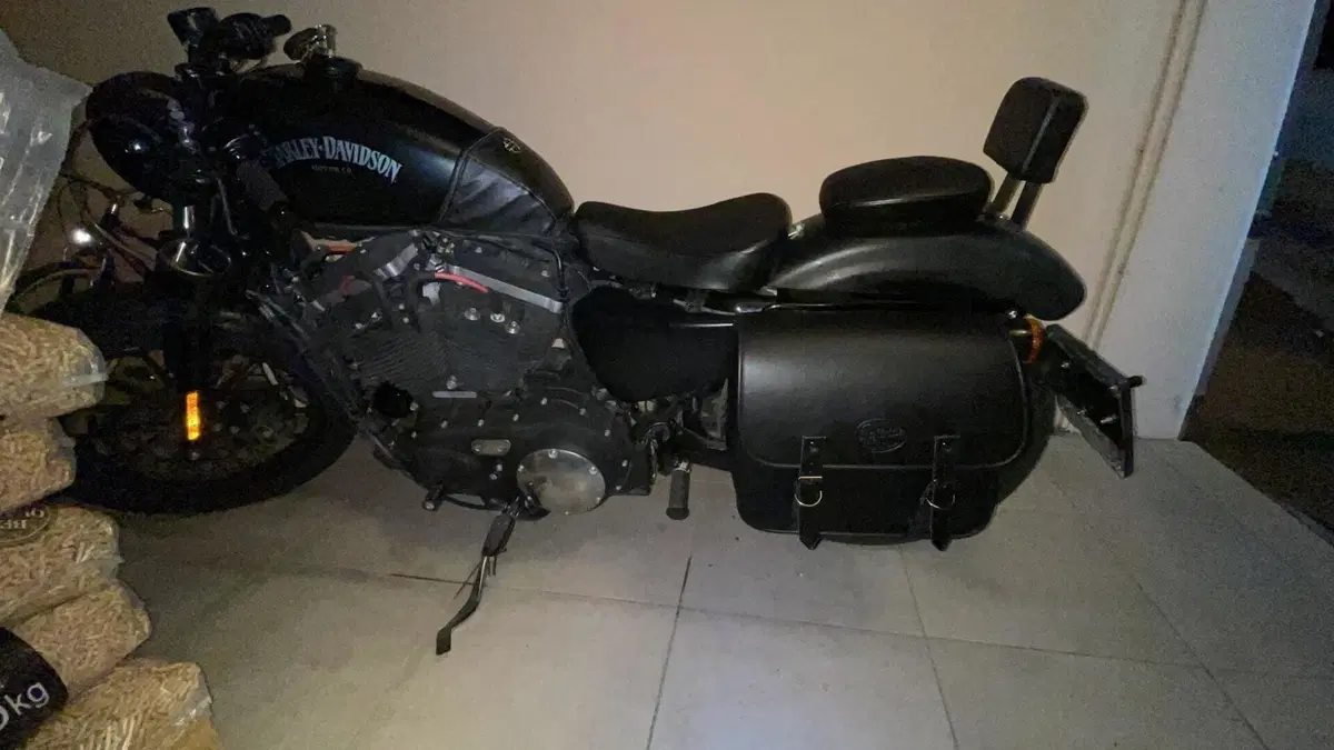 Harley-Davidson 883 Iron (2014 - 16) - XL 883N  (4)