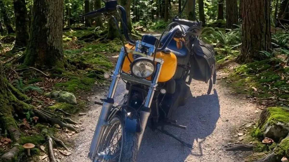 Harley-Davidson 1584 Night Train (2006 - 07) - FXSTB  (2)