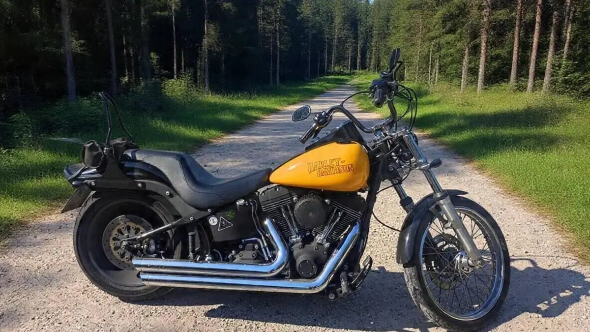Harley-Davidson 1584 Night Train (2006 - 07) - FXSTB  (3)