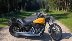 Harley-Davidson 1584 Night Train (2006 - 07) - FXSTB  (3)