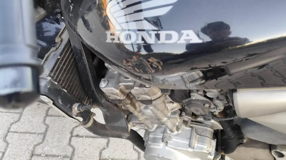 Honda Hornet 600 (2003 - 04)  (6)