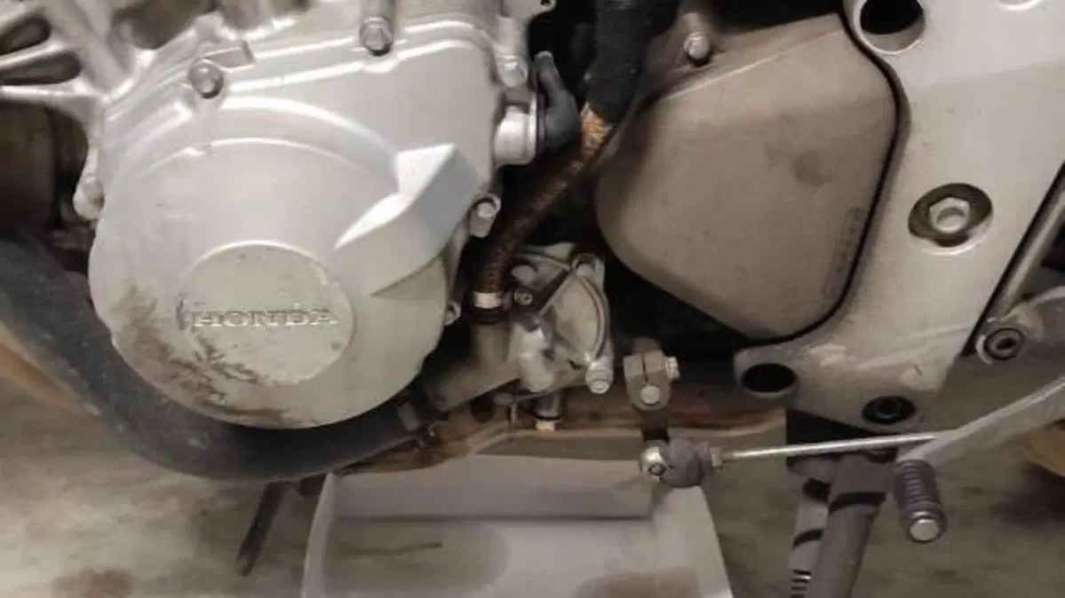 Honda Hornet 600 (2003 - 04)  (9)