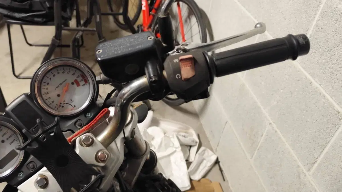Honda Hornet 600 (2003 - 04)  (11)