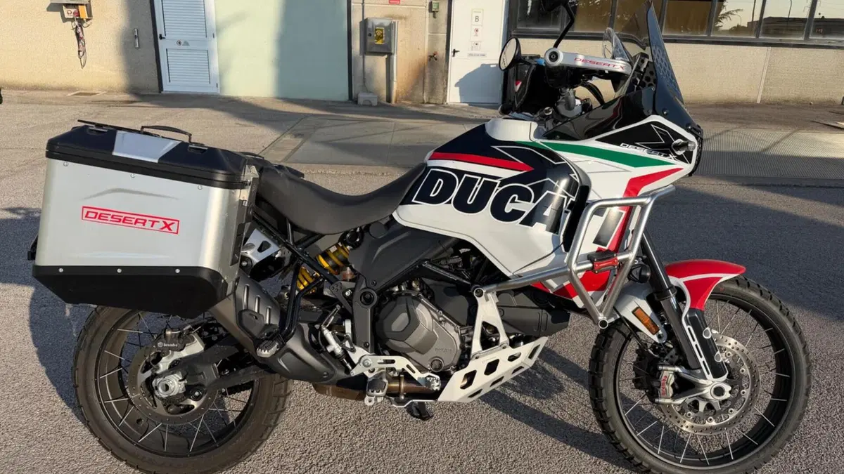 Ducati DesertX (2022 - 25) 