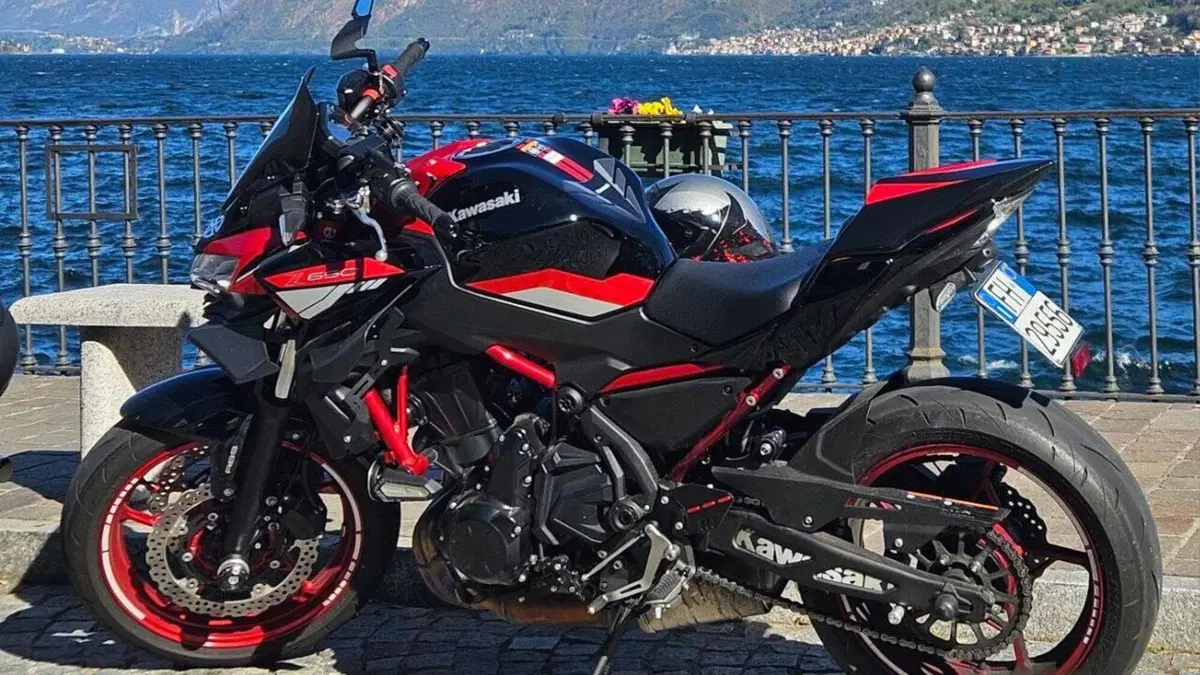 Kawasaki Z 650 (2021 - 24) 