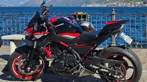 Kawasaki Z 650 (2021 - 24) 