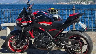 Kawasaki Z 650 (2021 - 24) usata