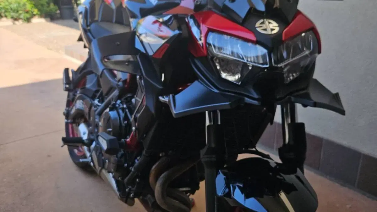 Kawasaki Z 650 (2021 - 24)  (2)