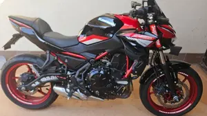 Kawasaki Z 650 (2021 - 24)  (8)
