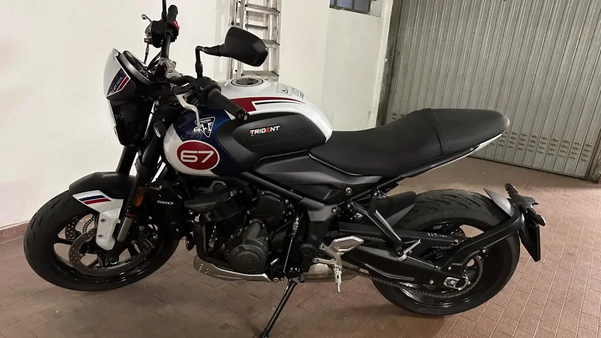 Triumph Trident 660 Triple Tribute Edition (2024)  (6)