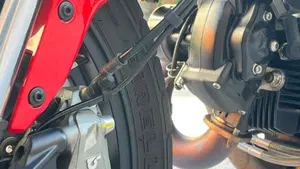 Ducati Scrambler 800 Icon (2021 - 22)  (4)