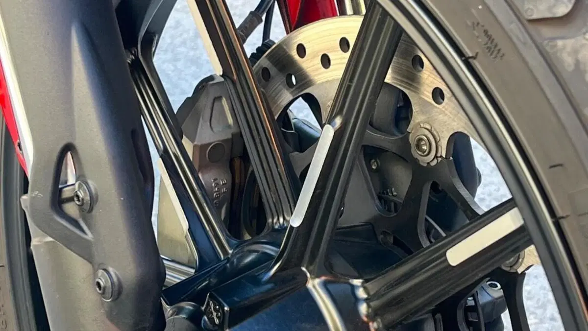 Ducati Scrambler 800 Icon (2021 - 22)  (7)