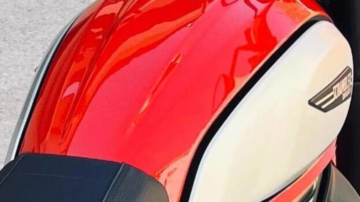 Ducati Scrambler 800 Icon (2021 - 22)  (13)