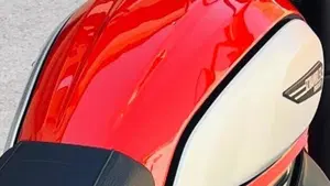 Ducati Scrambler 800 Icon (2021 - 22)  (13)
