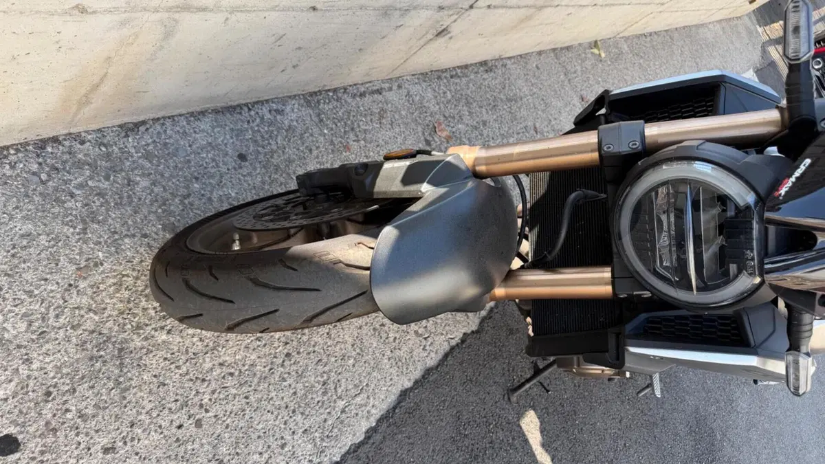 Honda CB 650 R (2019 - 20)  (8)