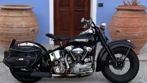 Harley-Davidson   (7)