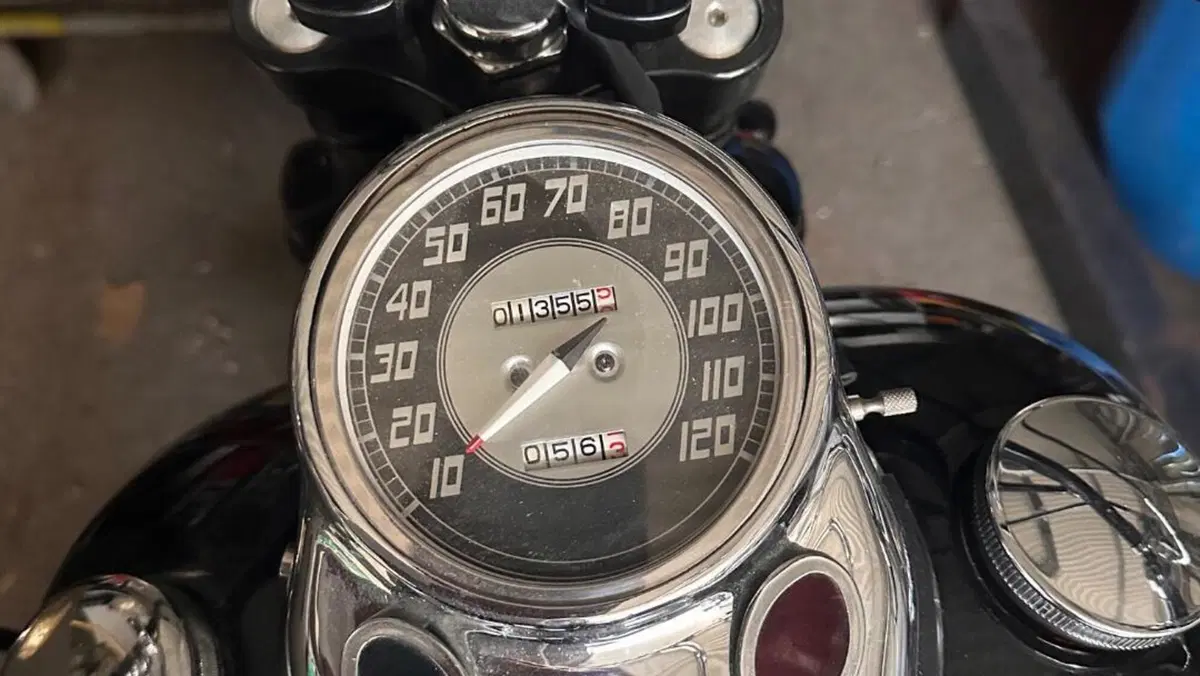 Harley-Davidson   (8)