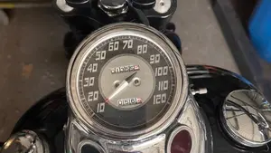 Harley-Davidson   (8)