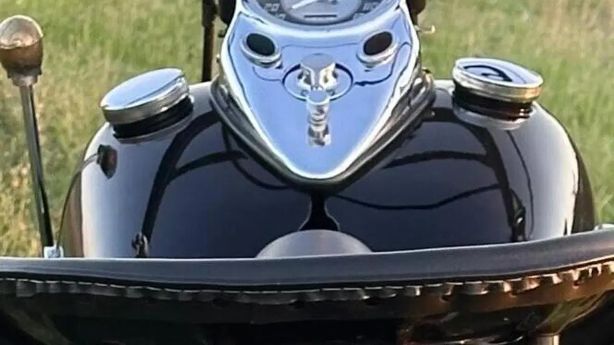 Harley-Davidson   (10)