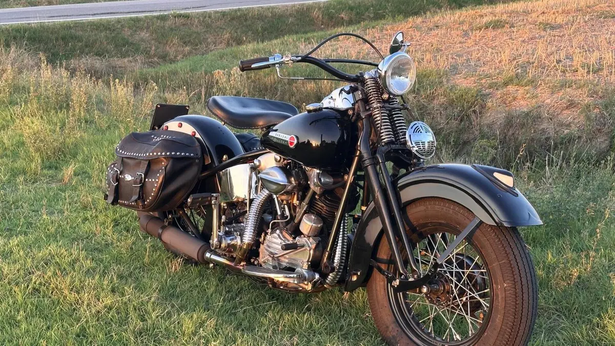 Harley-Davidson   (11)