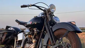 Harley-Davidson   (12)