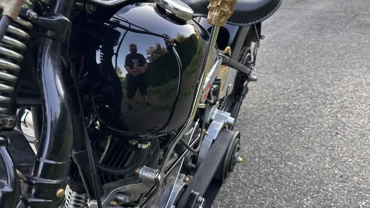 Harley-Davidson   (14)