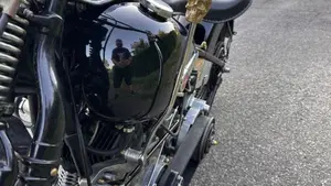 Harley-Davidson   (14)