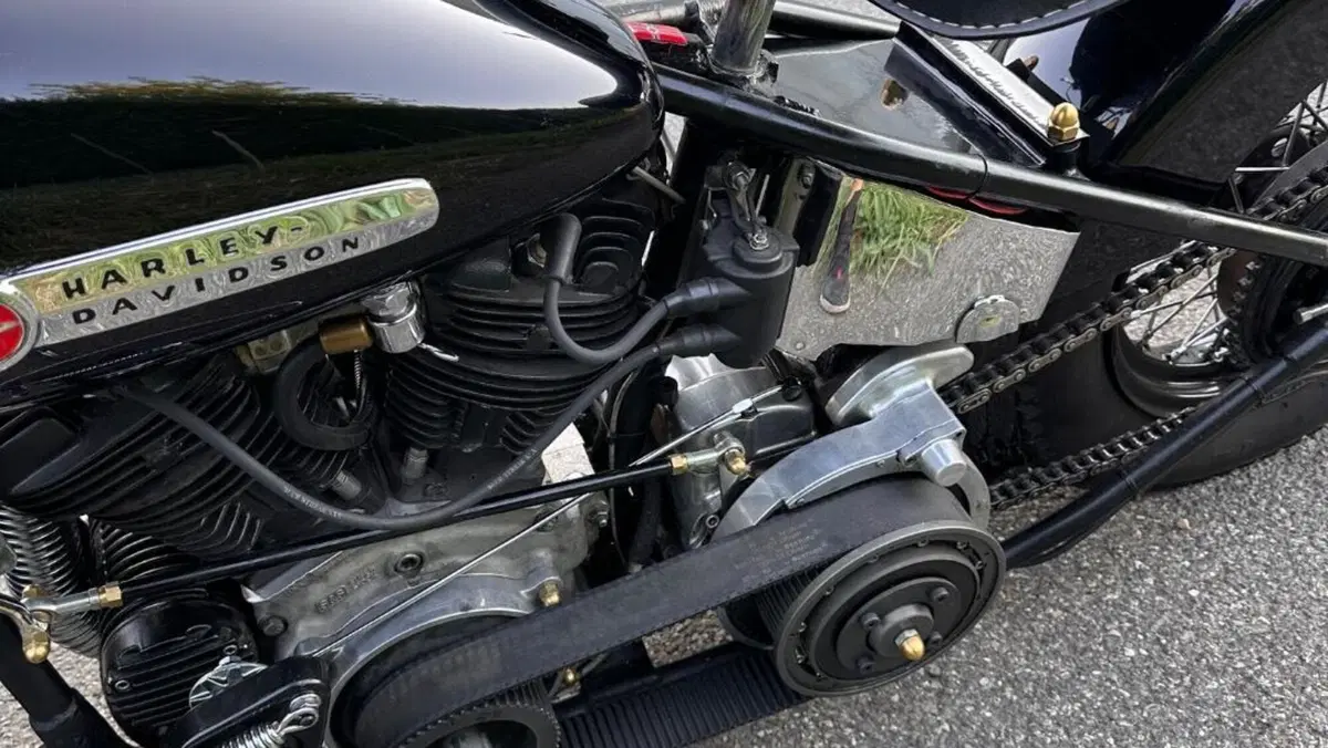 Harley-Davidson   (17)