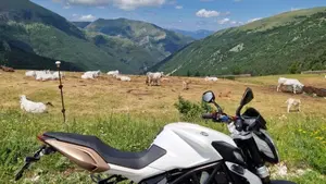 MV Agusta Brutale 675 EAS (2011 - 14) 
