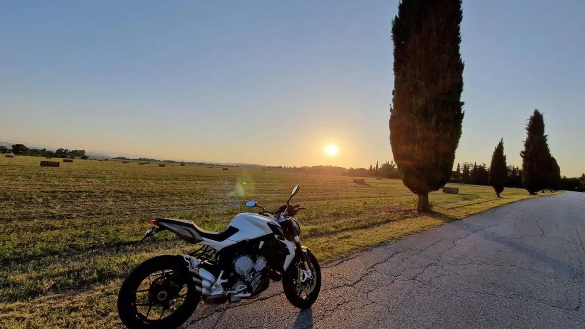 MV Agusta Brutale 675 EAS (2011 - 14)  (4)