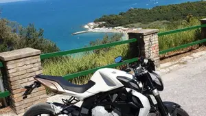 MV Agusta Brutale 675 EAS (2011 - 14)  (5)