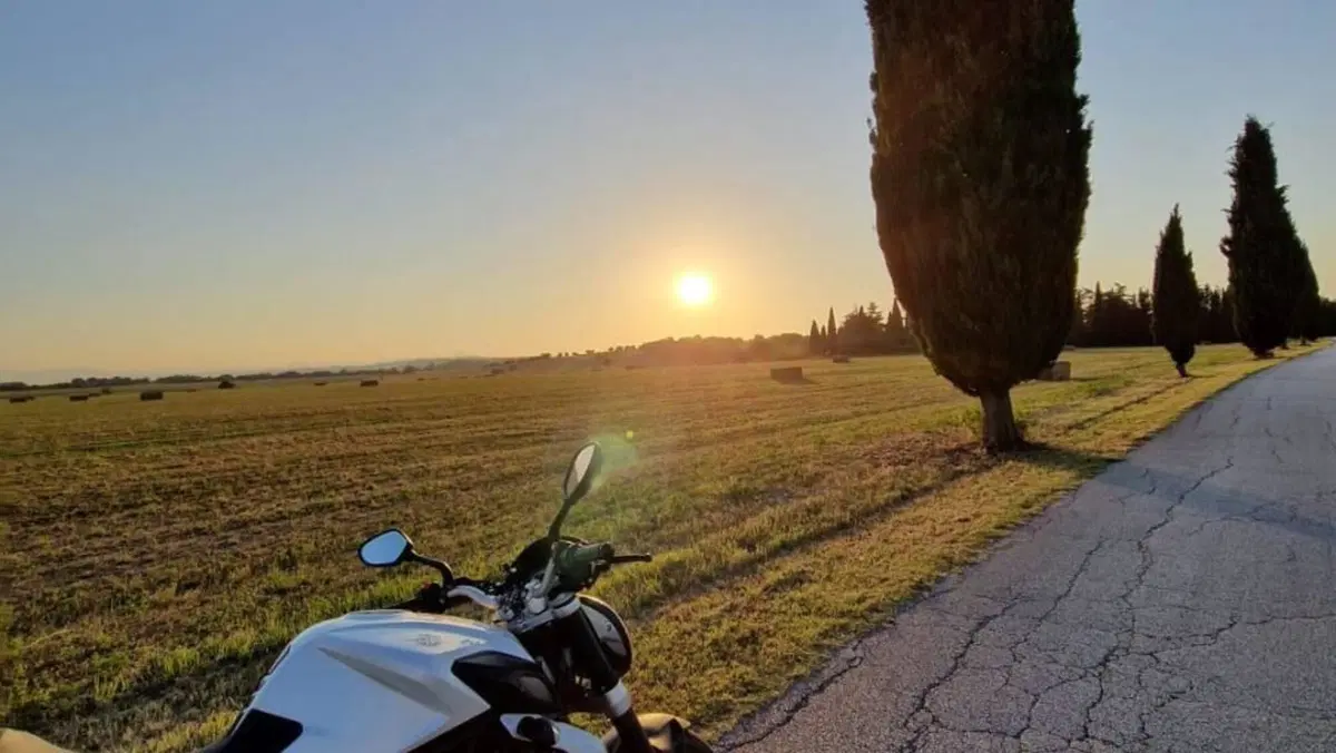 MV Agusta Brutale 675 EAS (2011 - 14)  (7)