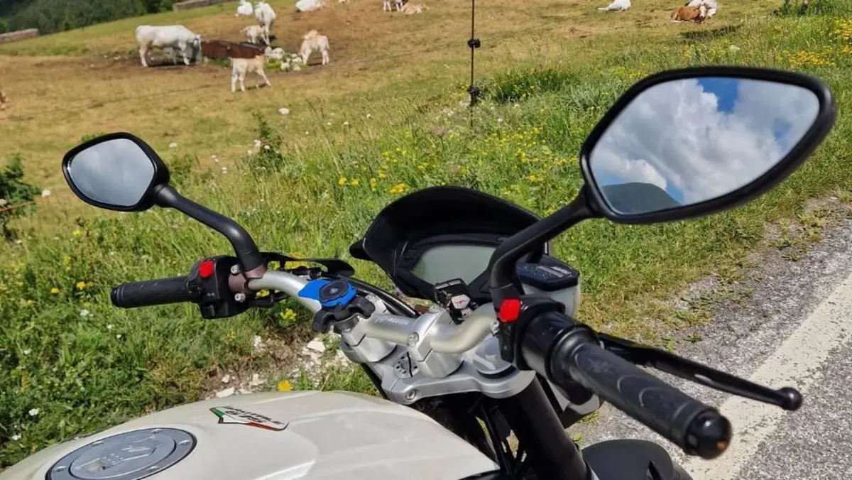 MV Agusta Brutale 675 EAS (2011 - 14)  (8)