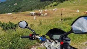 MV Agusta Brutale 675 EAS (2011 - 14)  (9)