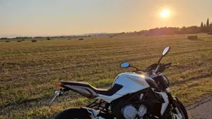 MV Agusta Brutale 675 EAS (2011 - 14)  (11)