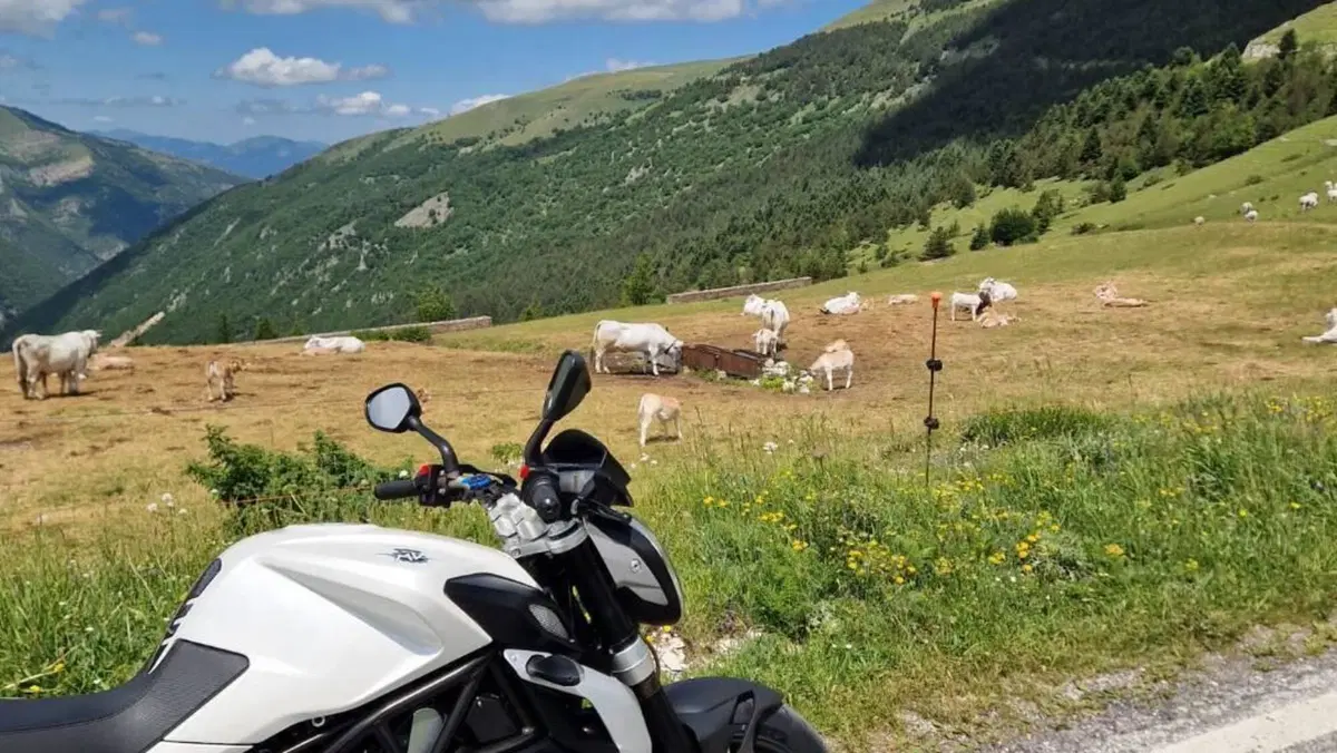 MV Agusta Brutale 675 EAS (2011 - 14)  (12)