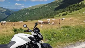 MV Agusta Brutale 675 EAS (2011 - 14)  (12)