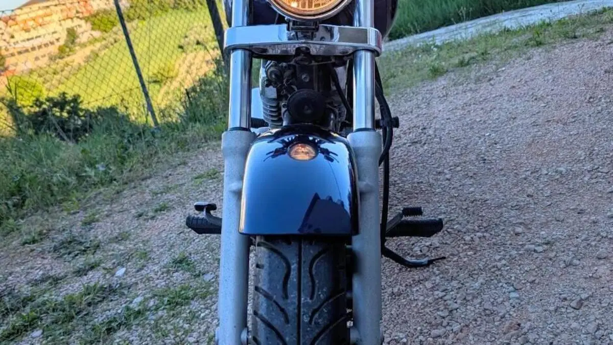 Suzuki Marauder GZ 250  (4)