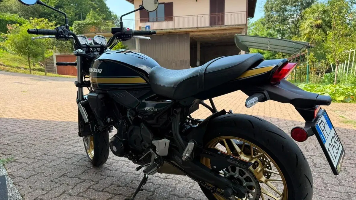Kawasaki Z 650 RS (2025 - 26)  (8)