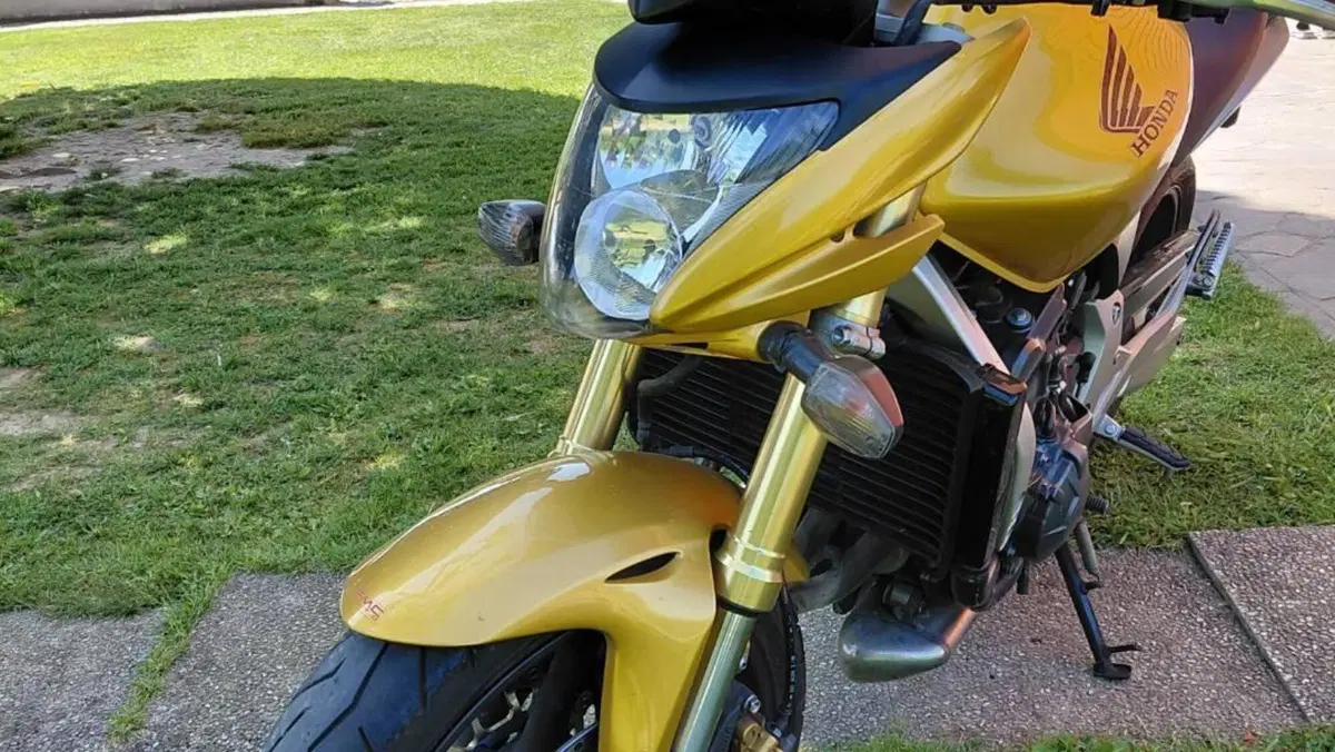 Honda Hornet 600 (2007 - 10)  (6)